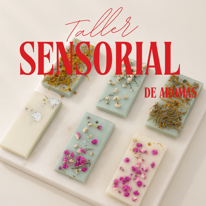 red and cream aesthetic trendy creative portfolio cover page (1024 x 1024 px) (800 x 800 px).zip 4